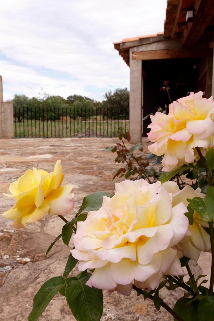 Casa Rural Mas De Sant Pau - Turistrat. Albocácer Exterior foto